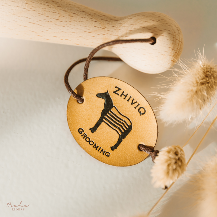 Zhiviq Hoof pick- Paardenborstel - Hoevenkrabber