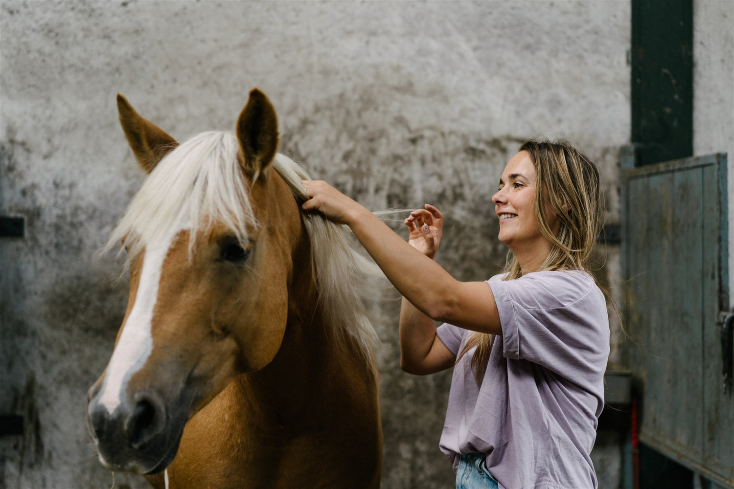 Everything you want to know behind the brand ofKnotty Horse Apricot Oil Leave-In Conditioner - Horse Conditioner - Based on Apricot Oil - Suitable for all coats