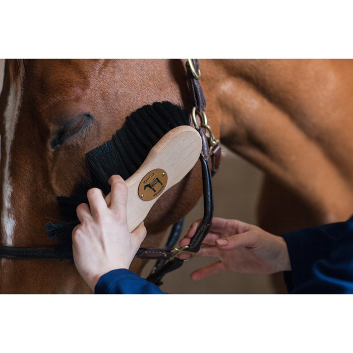 Zhiviq Shaped Medium - Horse Brush - Suitable for removing sand and dirt.