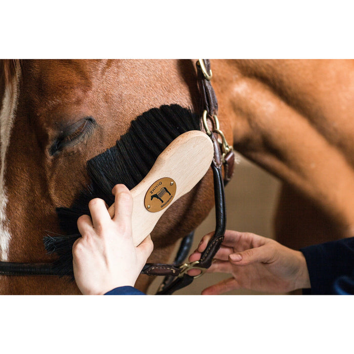 Zhiviq Shaped Horse Hair - Pferdebürste - Finishing Bürste - Für empfindliche Körperpartien geeignet