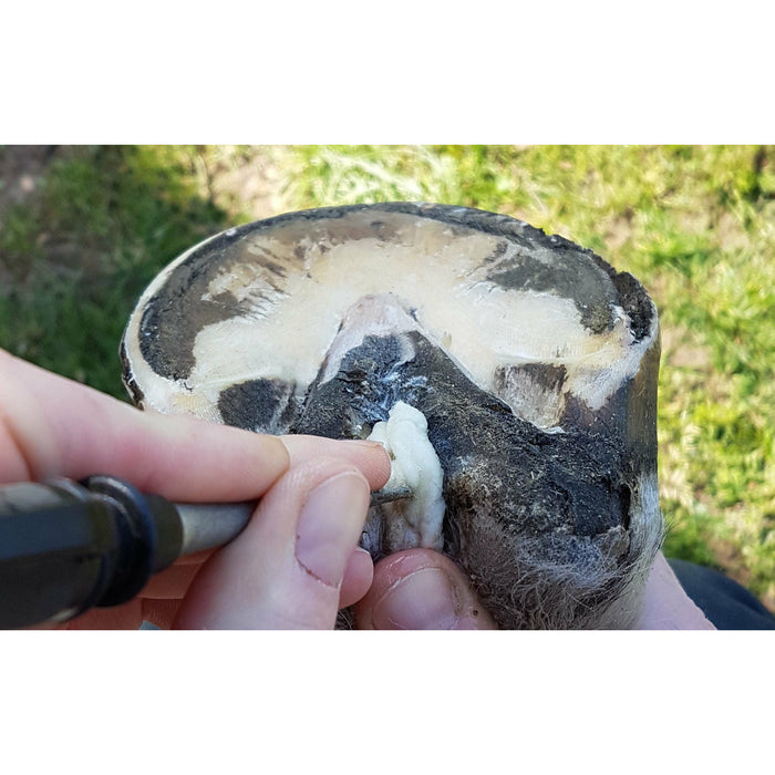Unique-Horn Silver Hoof Balls - Hoof Care - 250ML - Hoof Balls - For the treatment of a deep middle radius groove. 